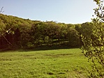 Szentkirályszabadja, Vödör-völgy