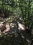 A fal fentről