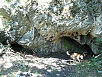 A barlang