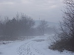Pécs, Tüskésrét