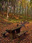 Pihenőhely ősszel (Forrás: Panoramio)