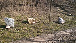 Kőzettan