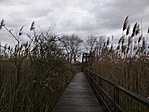 A kilátó tavasszal