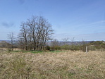 Kilátás
