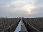 Palló-ösvény