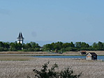 Madárvárták