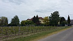 109. Kecel, Gajáry - Styelli kúria
