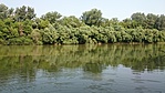 a Tisza