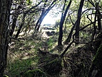 Kőlépcsők.