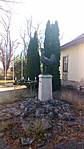 Túzok szobor. Alföld madara