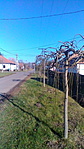 Hétvégi csendélet