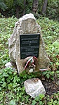 Bodnár Gábot Cserkészpark 2017.07.13.