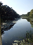 Csatorna