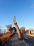 Jelzésértékű