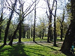 Jubileumi park-1