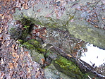 A kifolyó