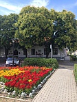 253. Erkel Ferenc szülőháza Gyulán