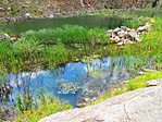 Közeli