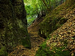 A szurdok