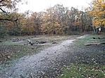 Főzőversenyek helyszíne, innen már csak 200 m a láda