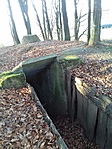 Bunker a toronnyal