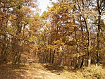 November eleji napsütés