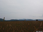 2014.09.05. A Magas-Börzsöny Kóspallag határából