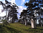 305. állomás: Sóly