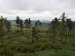 Kilátás 2