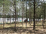 Nagytevel, strand