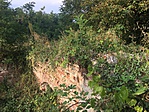 276. Ötvöskónyi: Ötvösi várrom