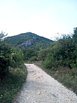 Oda fel