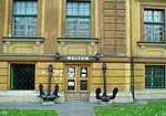 Tengerészeti Gyűjtemény