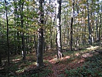 Piros kör az Egészség-forráshoz