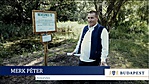 Merk Péter tómentő