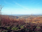 Panoráma 