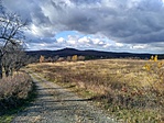 Távoli