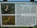 Tanösvény
