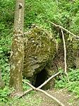 A Csókási-barlang környezete (forrás:Wikipedia)