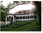 340. Pollack Mihály, Tahi, Pataksor 50.