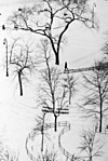 Washington tér NewYork 1954