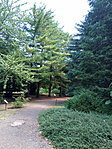 Arborétum II.
