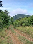 Hármashegy