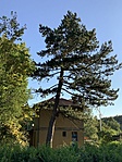 354. Pattantyús-Ábrahám Géza, Ábrahámhegy, Pattantyús sétány 