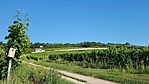 elindulunk