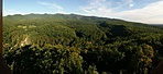 Panoráma