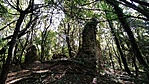 402. Ároktői templomrom