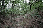 293. Sokorópátka - Barátok vára