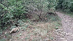Leágazás a Downhill pályához