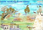 Nádirigó - Bíbic tanösvény 2. állomás